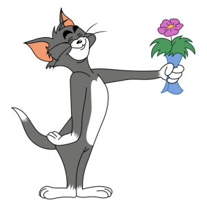 tom y jerry (33)