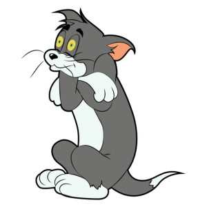tom y jerry (35)