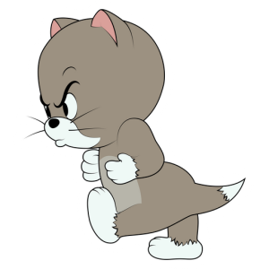 tom y jerry (54)
