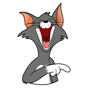 tom y jerry (56)
