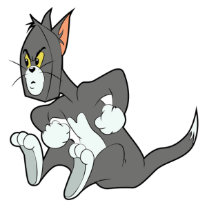 tom y jerry (62)