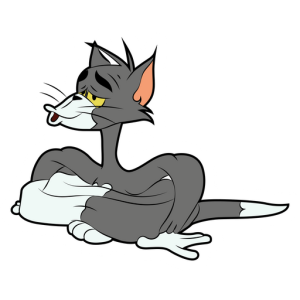 tom y jerry (64)