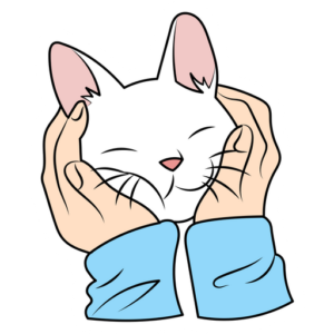 gatitos 21