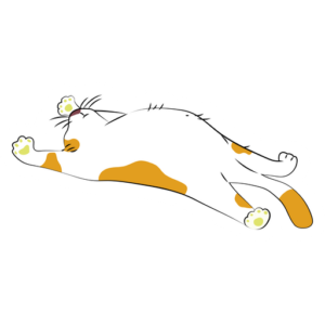 gatitos 24