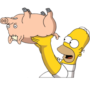 homero simpson 13