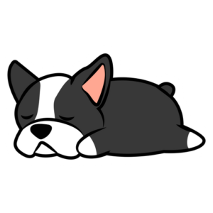 perritos 8